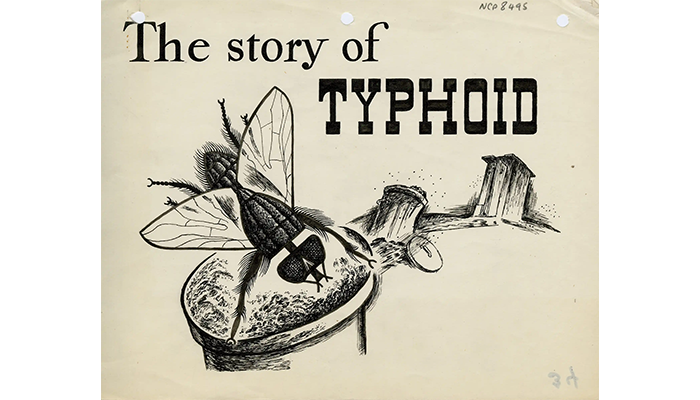 Story of Typhoid