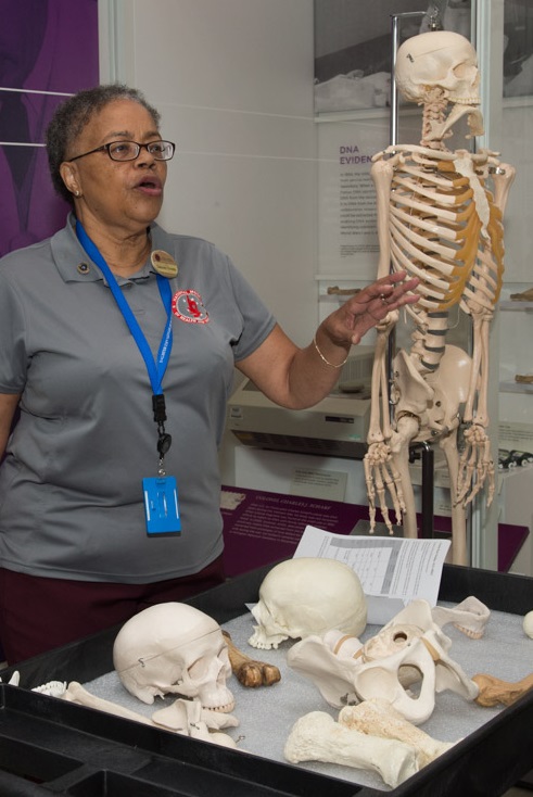 Docent with Human Identification (Forensics) Discovery Cart, showing real and replica human and animal skeletal remains.