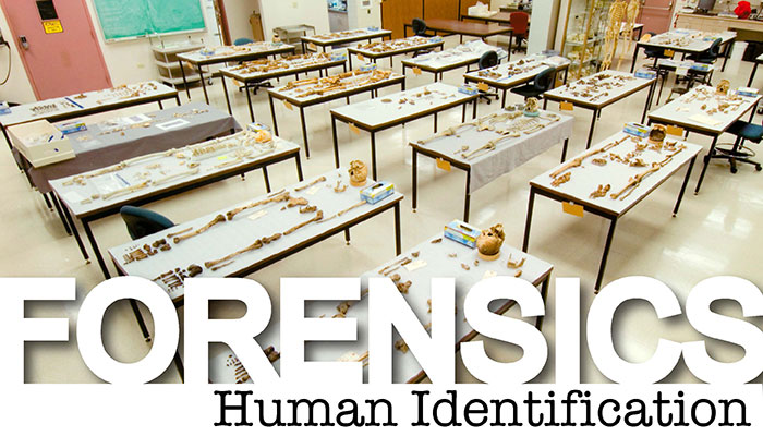 Forensics at NMHM
