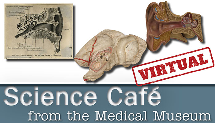 Medical Museum Virtual Science Café: How the Ear Works—An Interactive Journey Through Ear Anatomy