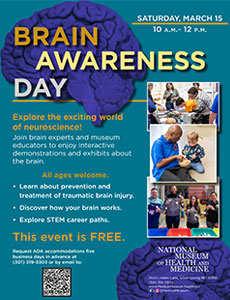 Brain Awareness Day 2025