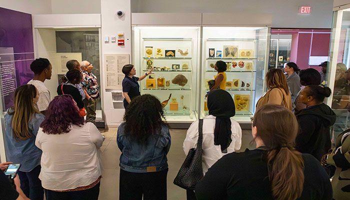 Vision Center of Excellence