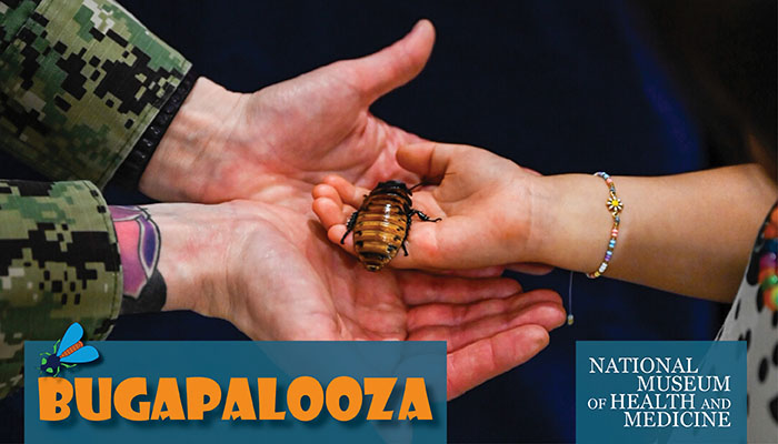2026 Bugapalooza