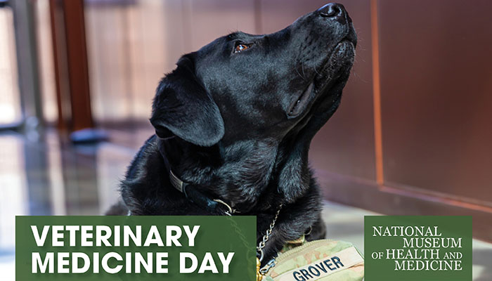 Veterinary Medicine Day