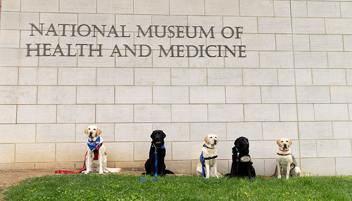Veterinary Medicine Day