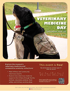 Veterinary Medicine Day Flyer