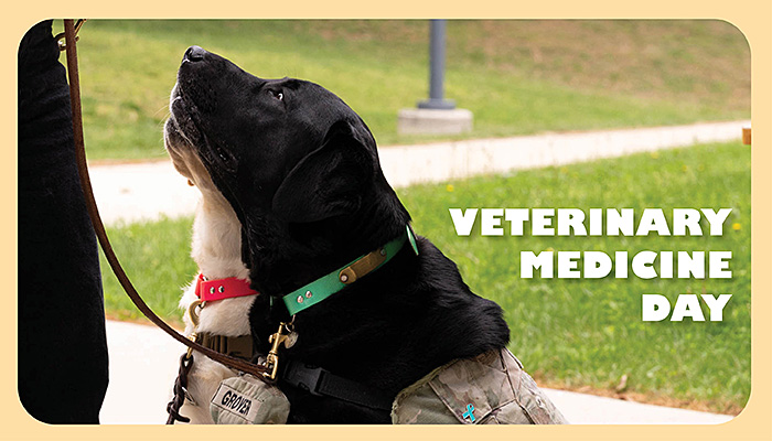 Veterinary Medicine Day