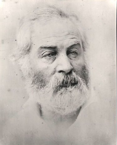 Walt Whitman(Image courtesy of Library of Congress)